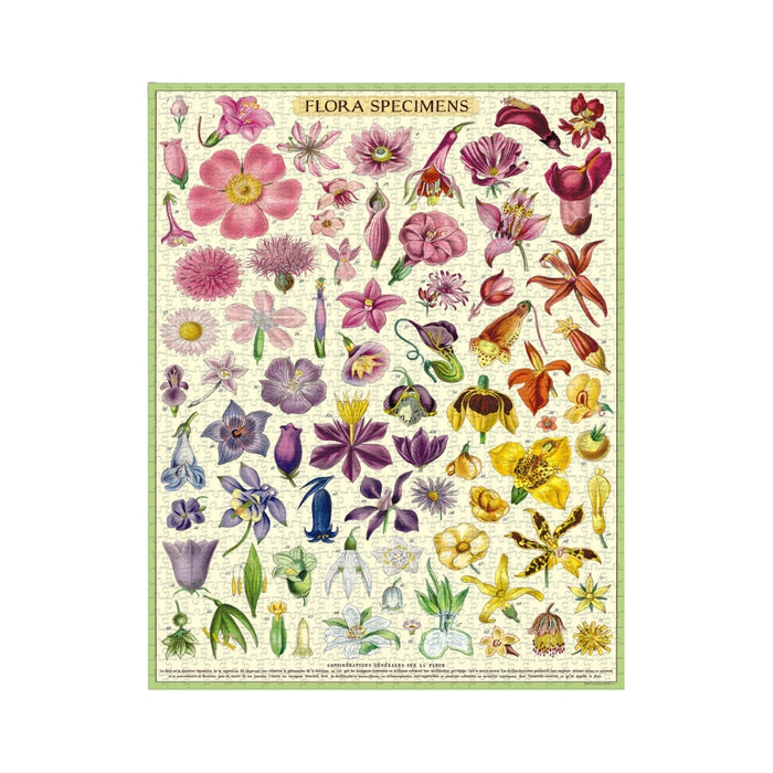 Flora Specimens 1000 Piece Puzzle - Cavallini & Co.