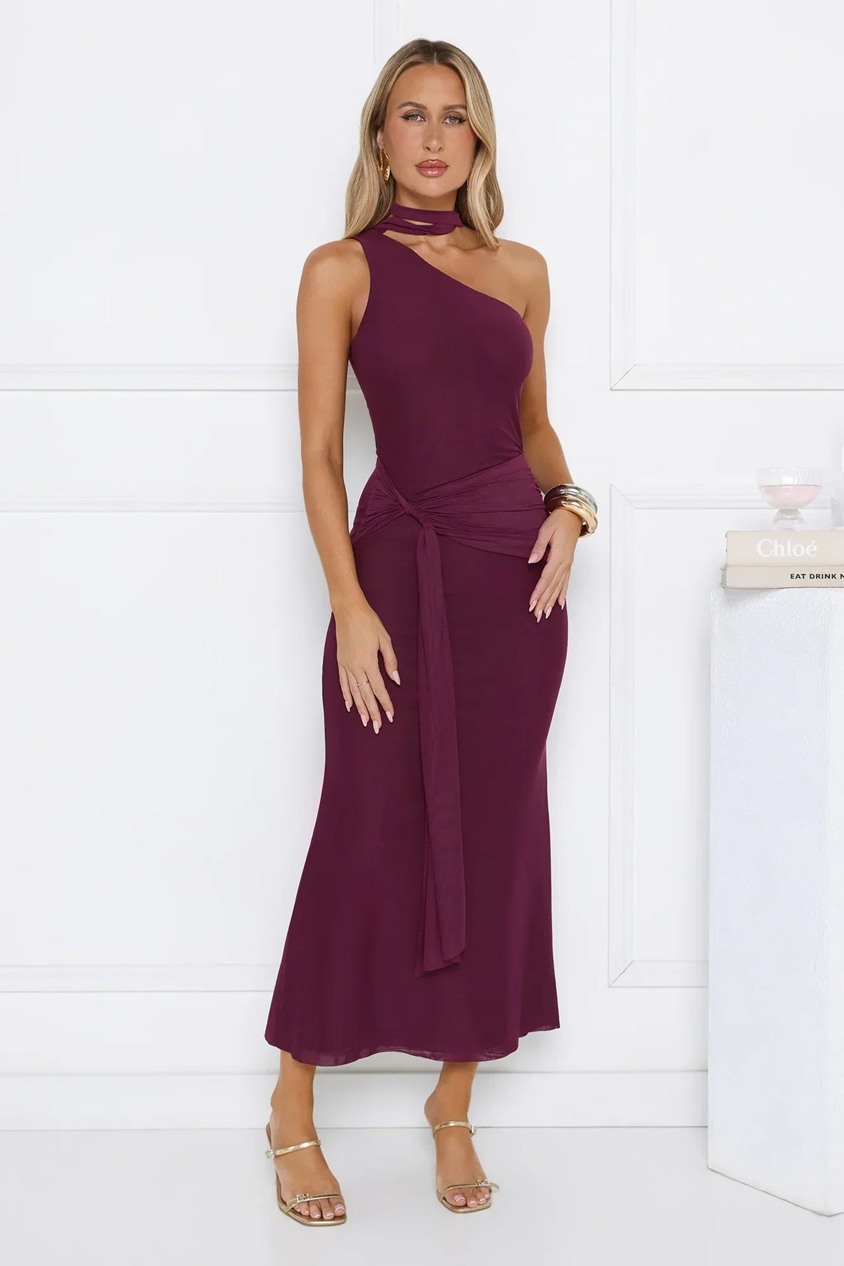 Aurora Elegance One Shoulder Mesh Maxi Dress Plum