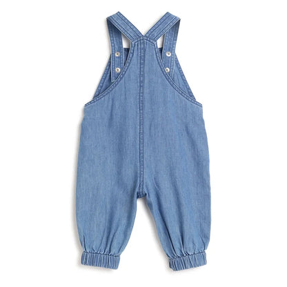 Boys Blue Printed Dungarees
