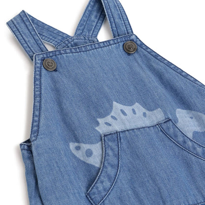 Boys Blue Printed Dungarees