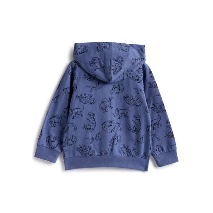 Boys Blue Printed Hooded Cardigan
