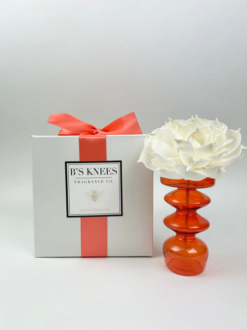 B's Knees Contempo Diffuser in Citrus Blossom Scents in at Wrapsody