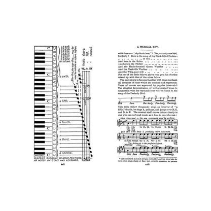 Field Book of Wild Birds and Their Music