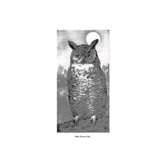 Field Book of Wild Birds and Their Music