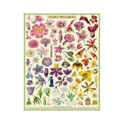 Flora Specimens 1000 Piece Puzzle - Cavallini & Co.
