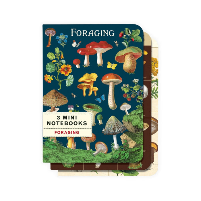 Foraging Mini Notebook Set - Cavallini & Co.