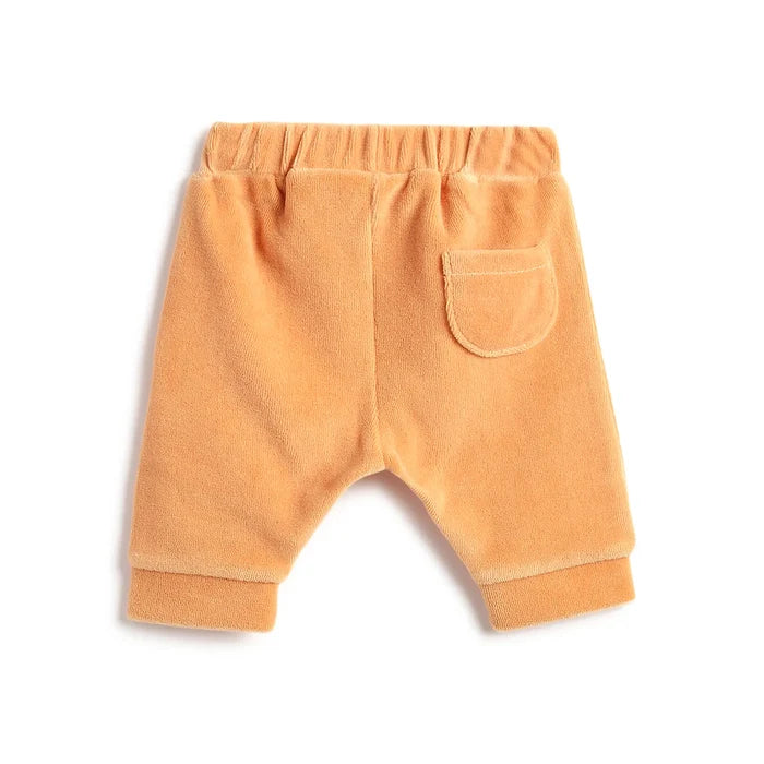 Infants Orange Sweatshirt With Trouser