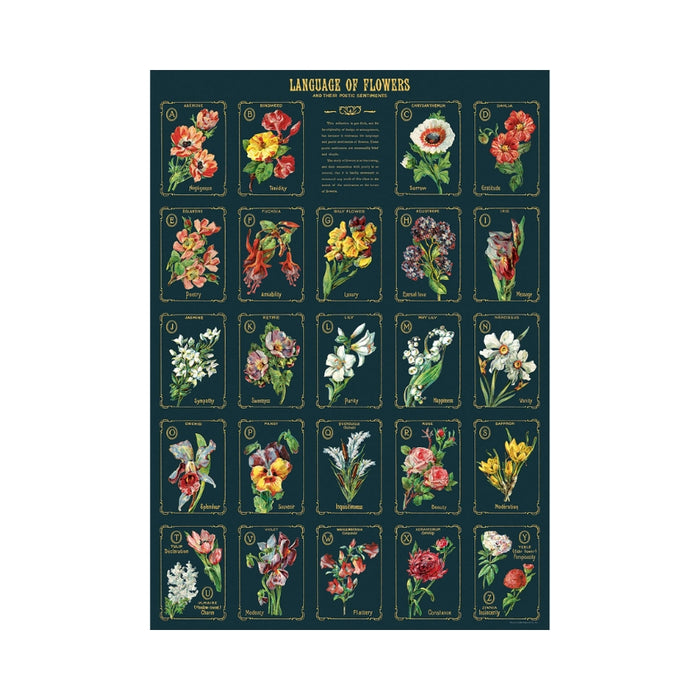 Language of Flowers Edition 2 Wrap Sheet - Cavallini & Co.