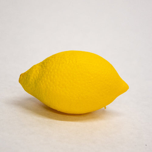 Lemon Coin Purse