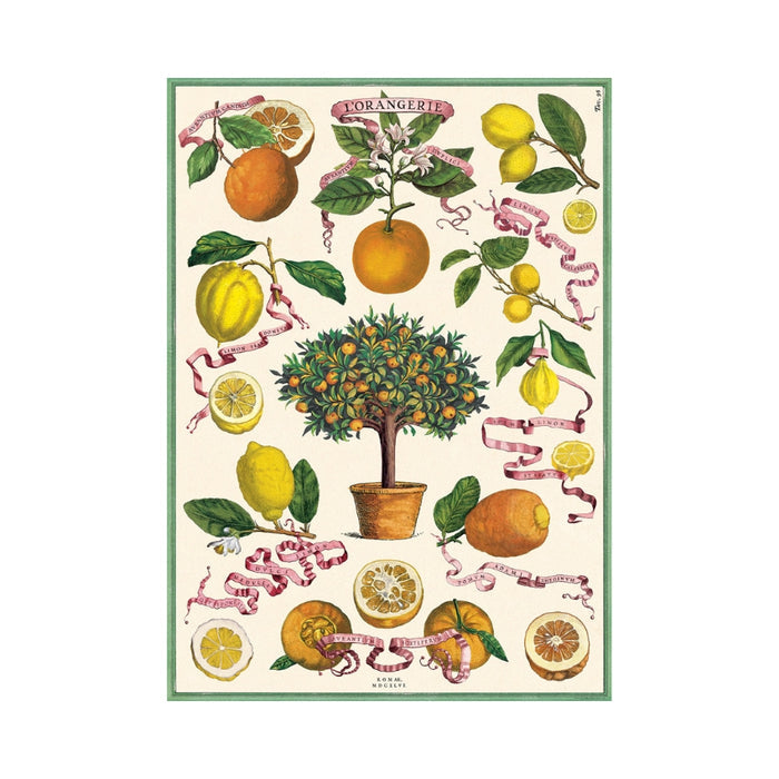 L'Orangerie Wrap Sheet - Cavallini & Co.