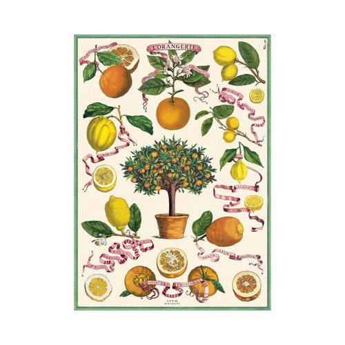 L'Orangerie Wrap Sheet - Cavallini & Co.