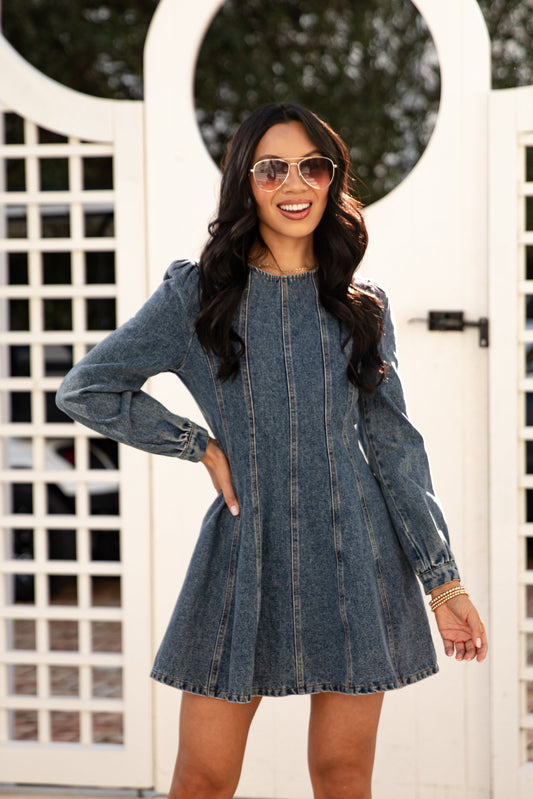 Blue Jean Beauty Denim Mini Dress