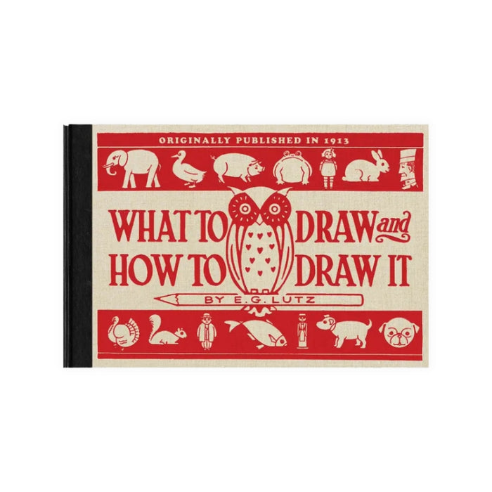 What to Draw and How to Draw It