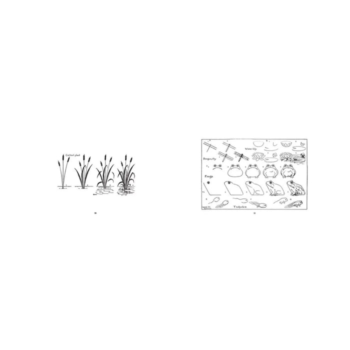 What to Draw and How to Draw It